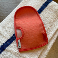 Exfoliating Mitt